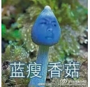 蓝瘦香菇什么梗 柯尼卡美能达复印机新代码？